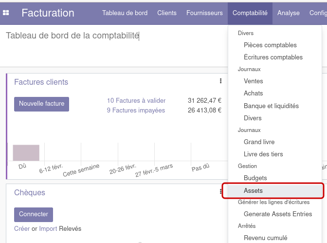 Capture d'écran d'odoo14, mettant en valeur le menu d'accès aux immobilisations