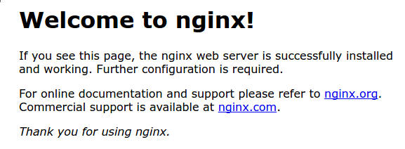 Welcome To Nginx! 